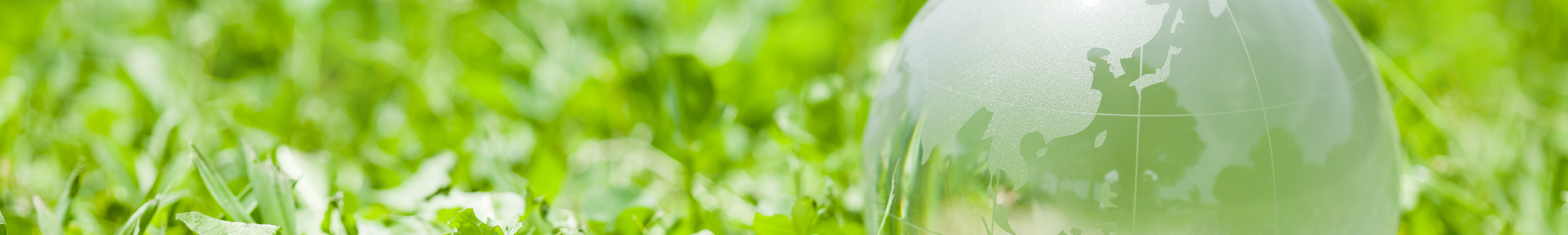 事業内容 日本開発サービス